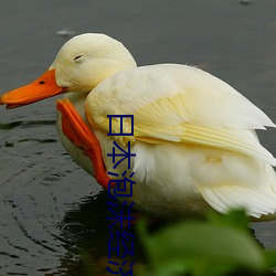 日本泡沫经济