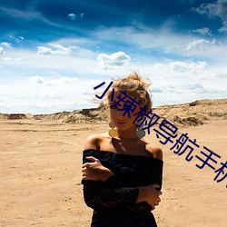 小辣椒导航手机版