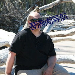 春满(滿)阁导航(航)
