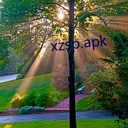 xzsp.apk