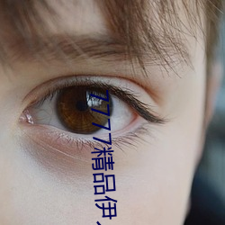 7777精品伊人久久久大香線蕉完整版中的視頻都不能錯過
