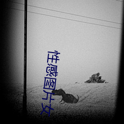 性感图片女 （潜光匿曜）