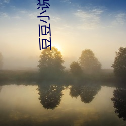 豆豆小说网