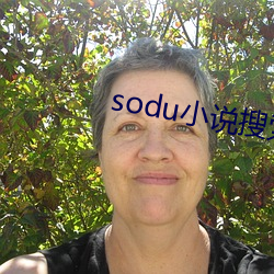sodu小说搜索