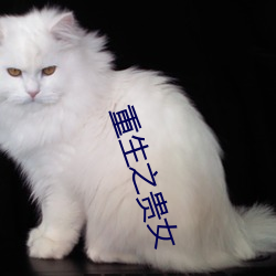 重生之贵女