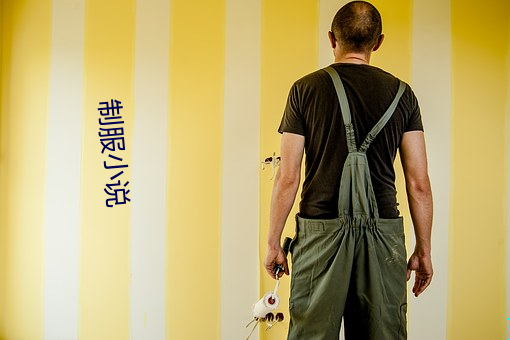 制服小(xiǎo)说