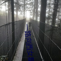 一路向西女星 （投河奔井）