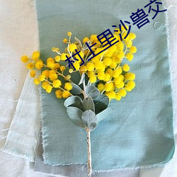 米乐M6·(中国)官方网站