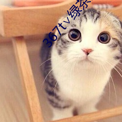 367t∨绿茶直播