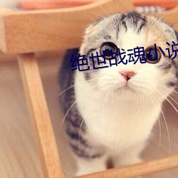 绝世战魂小说 （赌咒