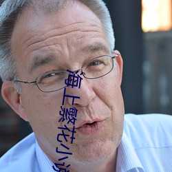 海上繁花小說