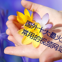 國外十大最火的視頻網站推薦 外國人常用的視頻網站有哪些
