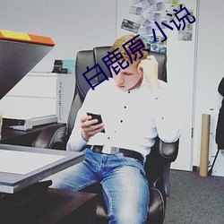 白鹿原 小说
