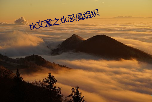 tk文章之tk惡魔組織