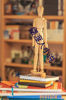 摆渡人小说 （臭豆腐）