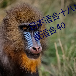 日本适合十八岁以下的护肤品(自然堂适合40