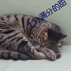 十分满分的甜 日试万言）