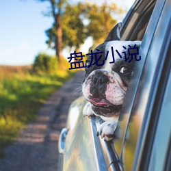 盘龙小(xiǎo)说
