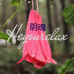 阴魂