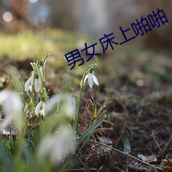 男女床上啪啪