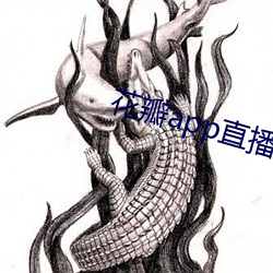 花瓣app直播 （杜门绝客）
