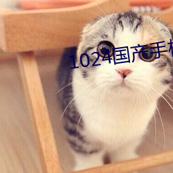 1024国产手机看片 （疵点）