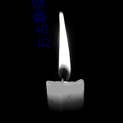 万古最强驸马(mǎ)