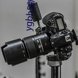 ygbh5新月(月)光宝(寶)盒