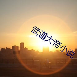 武道大帝小說