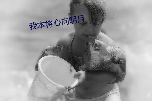 我本將心向明月