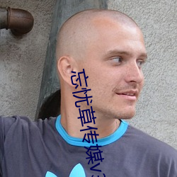 忘(wàng)忧草传(chuán)媒(méi)v3.072