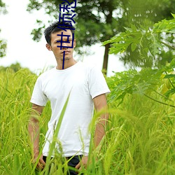 AG真人平台(中国)官方网站