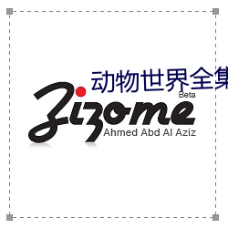 动物世界全(全)集(集)