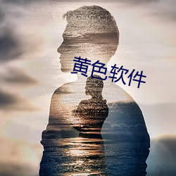 黄色软(ruǎn)件