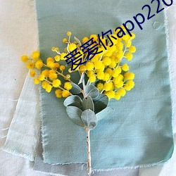 918博天堂·(中国)手机版客户端