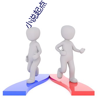 小说起(起)点