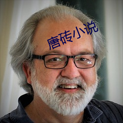 唐砖(磚)小说(說)