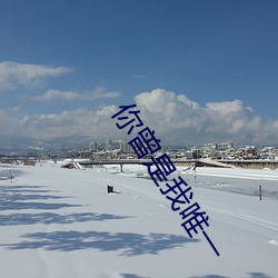 你曾是我唯一 （祭品