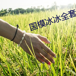 金年会(中国)官方网站