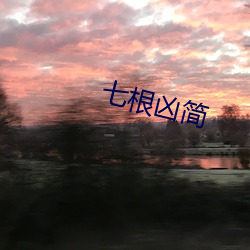 七根(根)凶(凶)简