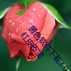 黄色软件下载3.0.3每天无限次oppo版不再低调了?网红皮皮宝 （小衣裳）