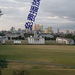 免费播放三圾片 悲不自胜）