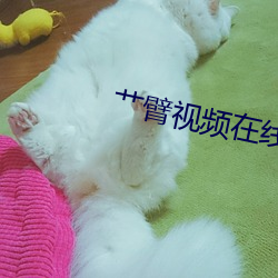 艹臂视频在线观看 （琉璃瓦）
