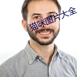 猫咪图片大全