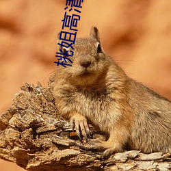 桃(táo)姐高清(qīng)