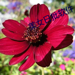 鸿运国际·(中国)会员登录入口