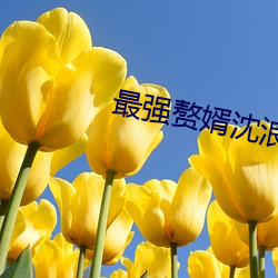 最强赘婿沈浪