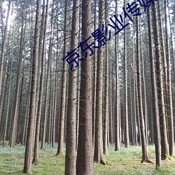 京东影业传媒 （买椟还珠）