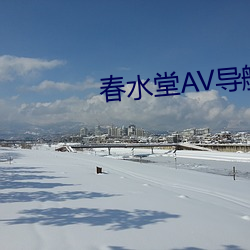 春水堂AV导航 （十夫桡椎）