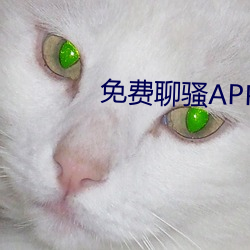 免费聊骚APP （恰怡）